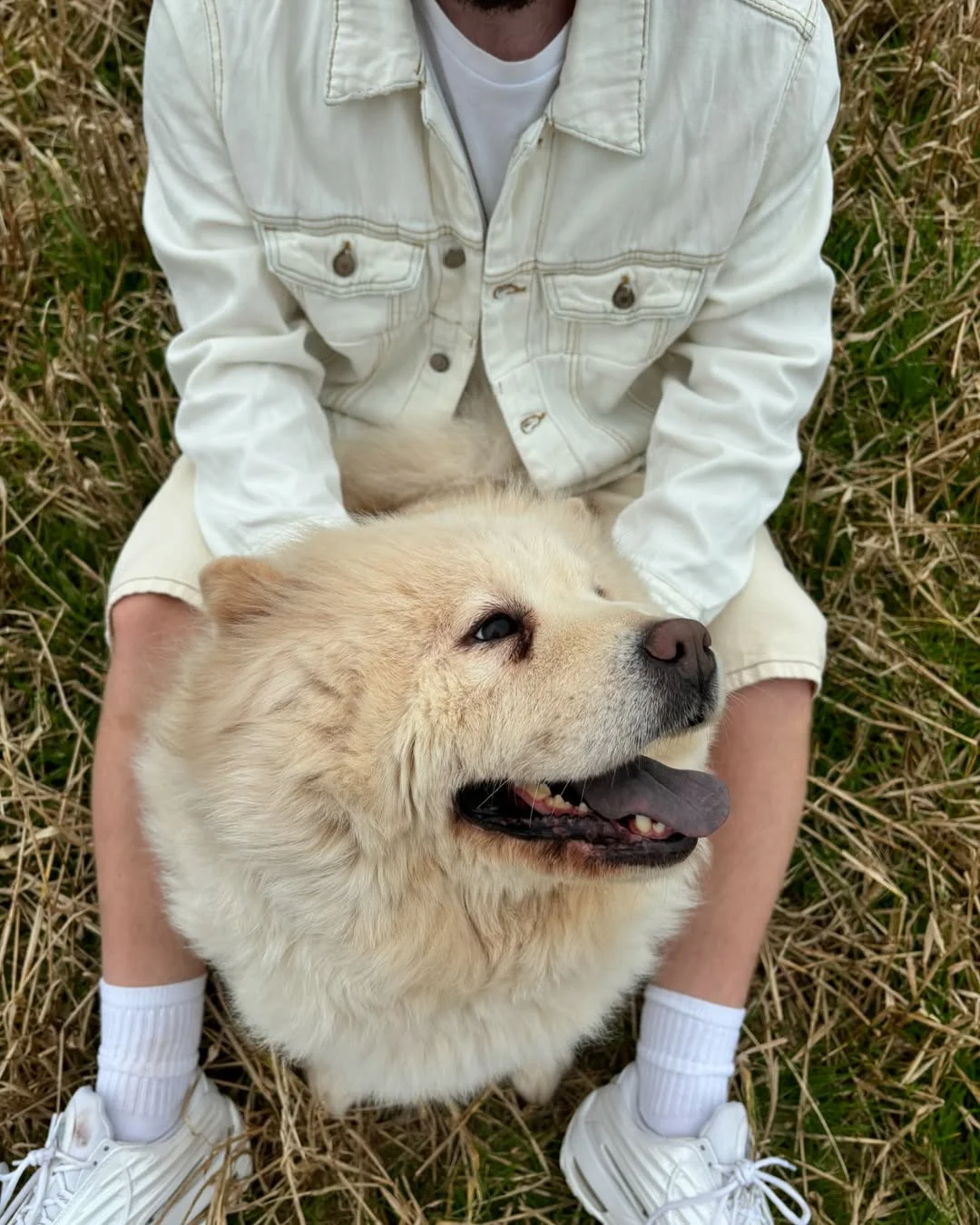 PULL & BEAR DOGS AND DENIM campaign content